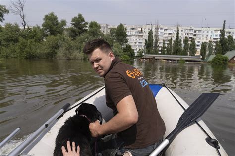 Volunteers rush to save animals after Ukraine dam collapse